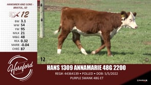 Lot #12 - HANS 1309 ANNAMARIE 48G 2200