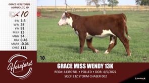 Lot #10 - GRACE MISS WENDY 13K