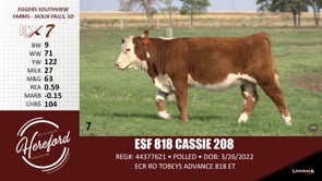 Lot #7 - ESF 818 CASSIE 208