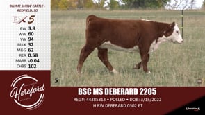 Lot #5 - BSC MS DEBERARD 2205