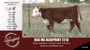 Lot #4 - BSC MS BLUEPRINT 2218
