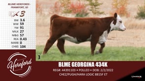 Lot #3 - BLME GEORGINA 434K