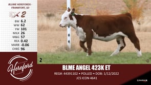 Lot #2 - BLME ANGEL 423K ET