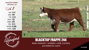 Lot #1 - BLACKTOP FRAPPE 244