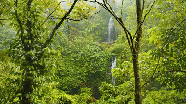 Rainy Day At Jungle Waterfall. Part 3