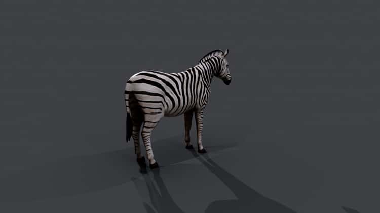 Animales-3D-Google.mov on Vimeo