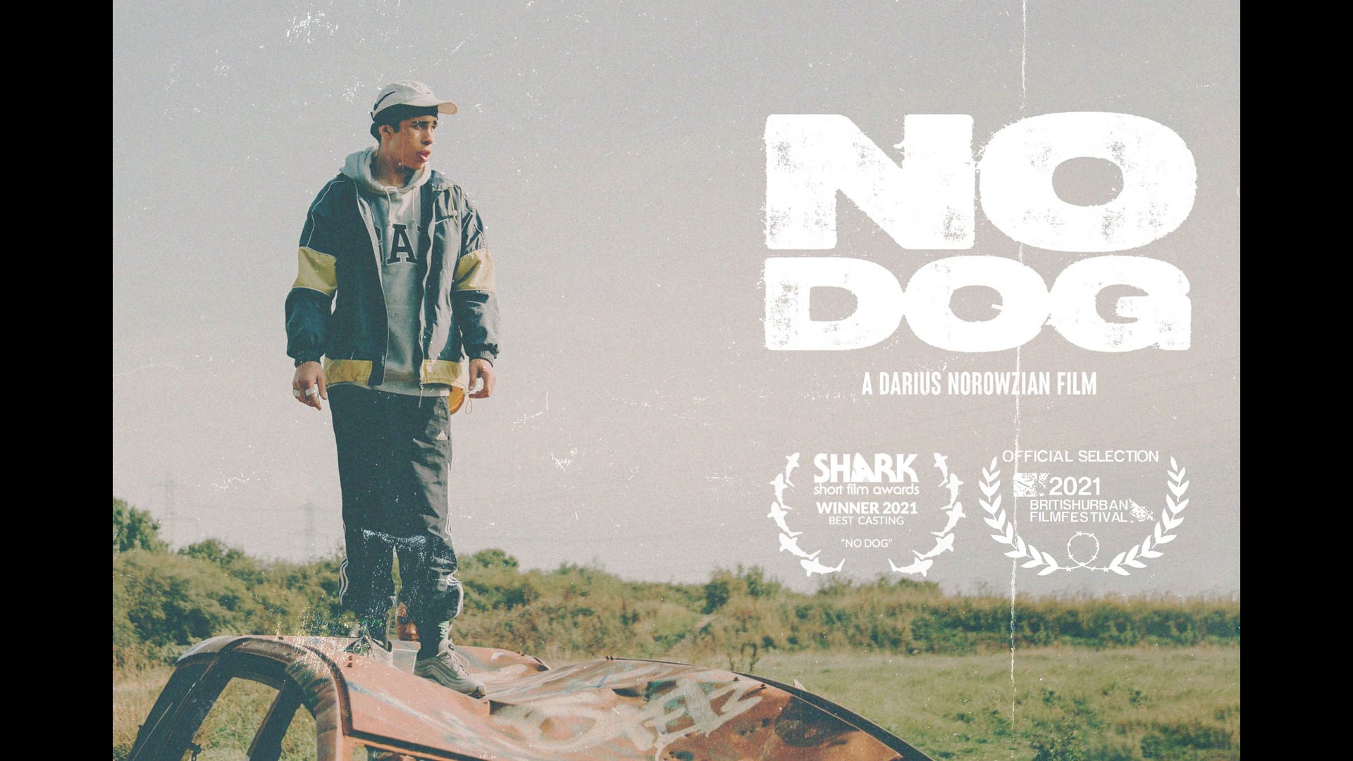 No Dog