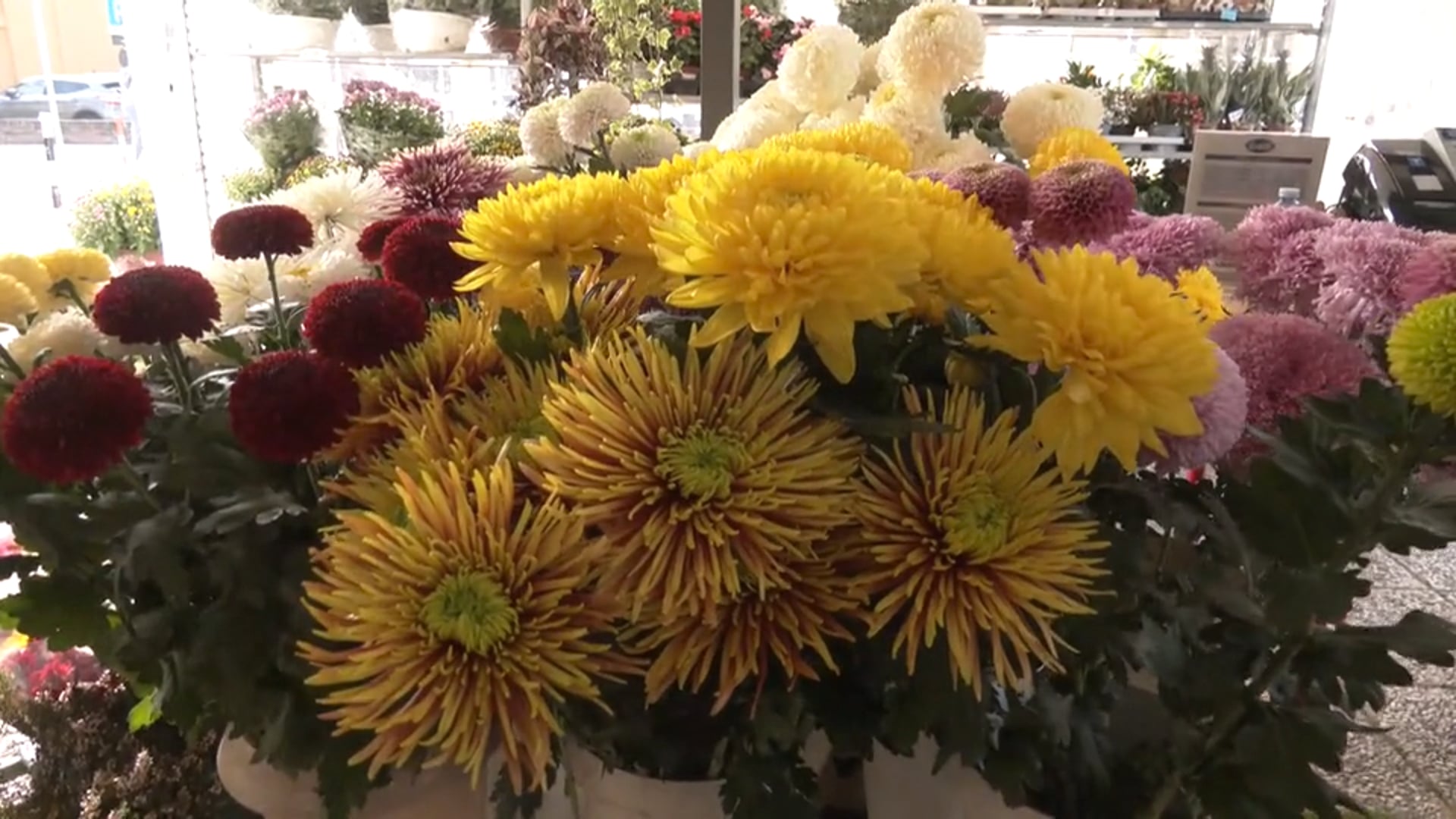 Commemorazione Dei Defunti, I Rincari Si Fanno Sentire Anche Sui Fiori ...