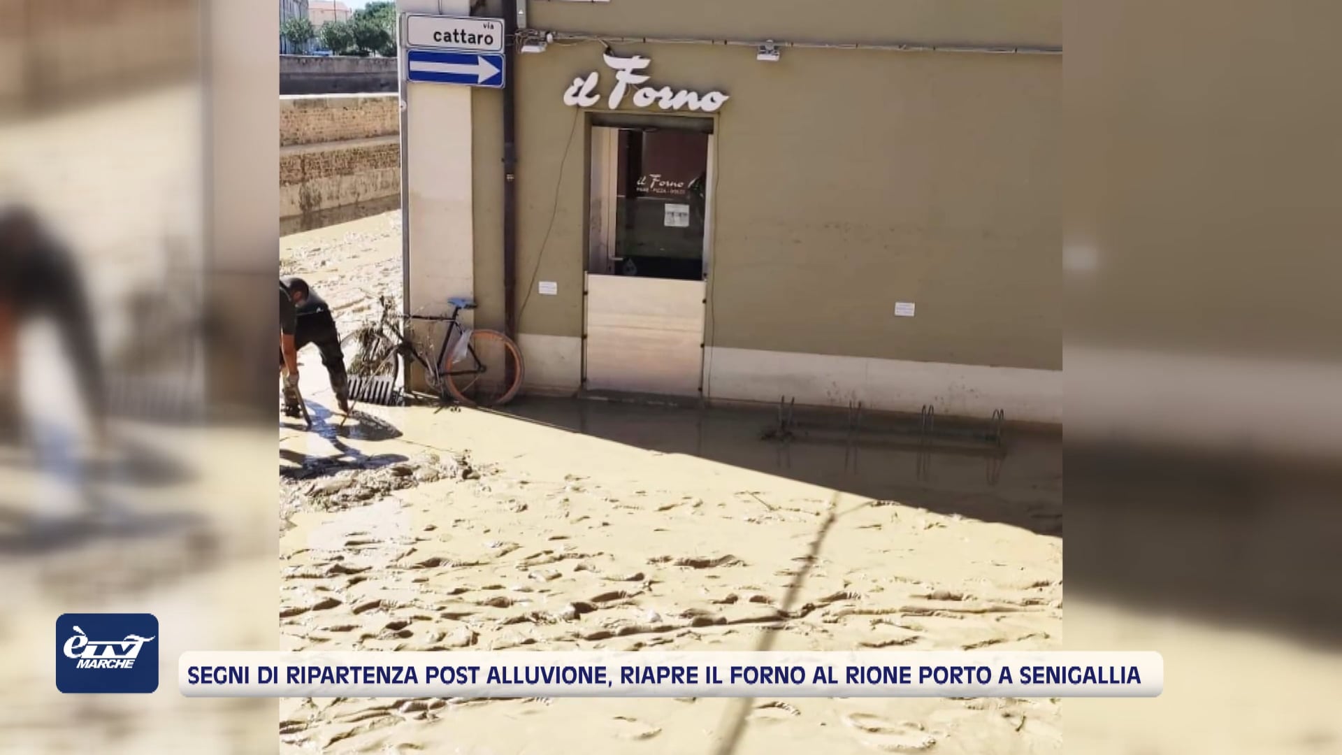 Post alluvione a Senigallia, la rinascita profuma di pane: torna a pieno regime il forno di Rione Porto - VIDEO