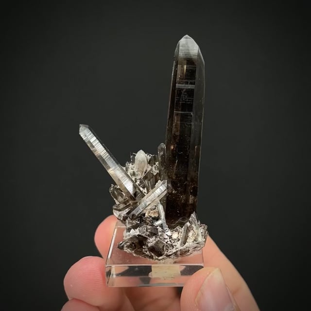 Smoky Quartz w/ phantoms (Hefendehl Coll.)