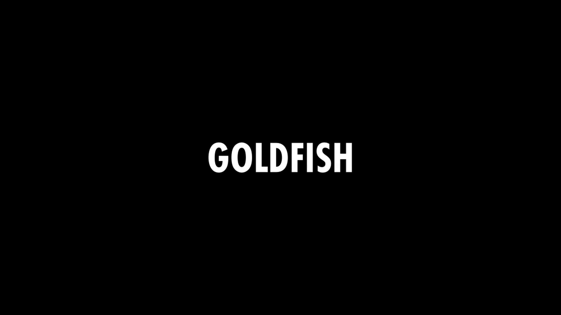 Be a Goldfish on Vimeo