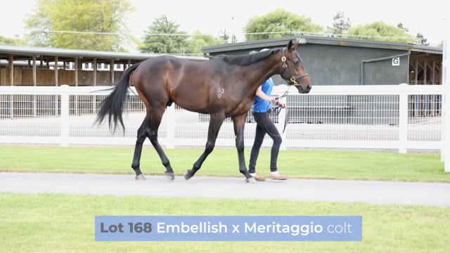 Lot 168