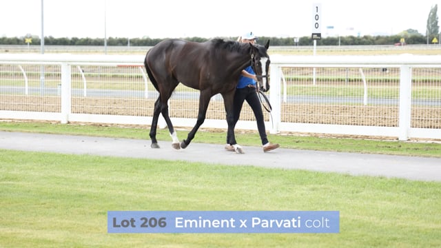 Lot 206