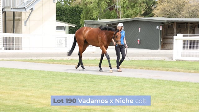 Lot 190