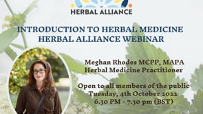 Introduction to Herbal Medicine by Meghan Rhodes