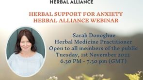 Herbal Support for Anxiety by Sarah Donoghue