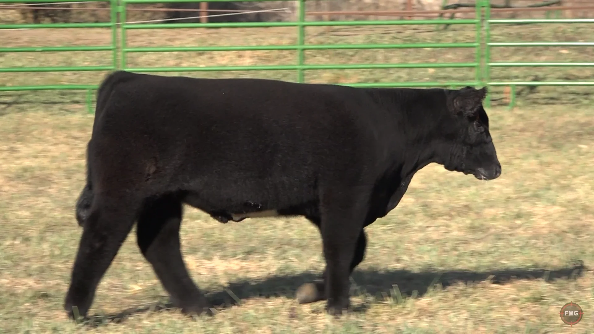 Sullivan Ranches Nov 2022 Tag 248K on Vimeo