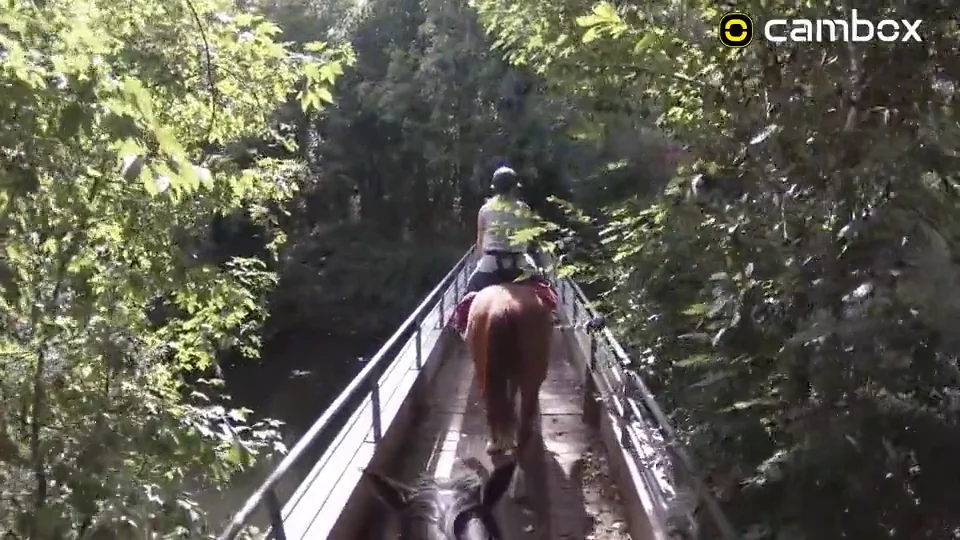 Horseback riding & swimming Cambox V4 Pro on Vimeo
