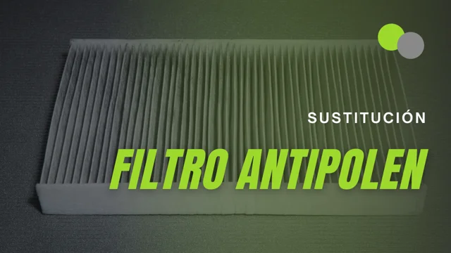 ✔️ Filtro antipolen: ¿ Qué es y para que sirve?