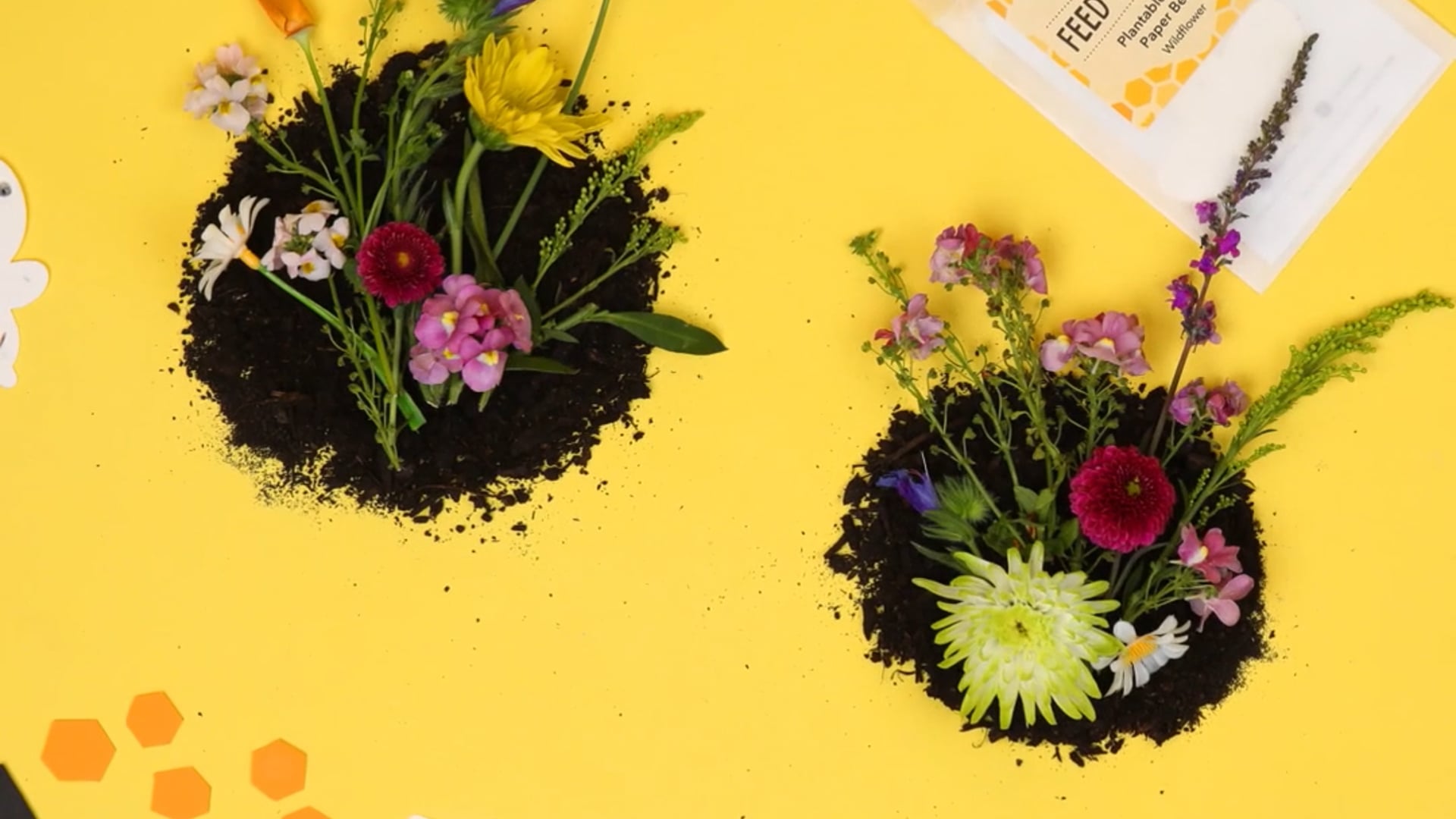 RubyandBo - LovedaySocial