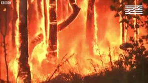 Vignette de la vidéo