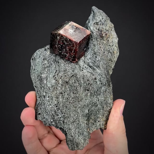 Almandine Garnet in Schist