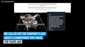Compass Group Commits to Groundbreaking Animal Welfare Policy After Animal Equality Campaign