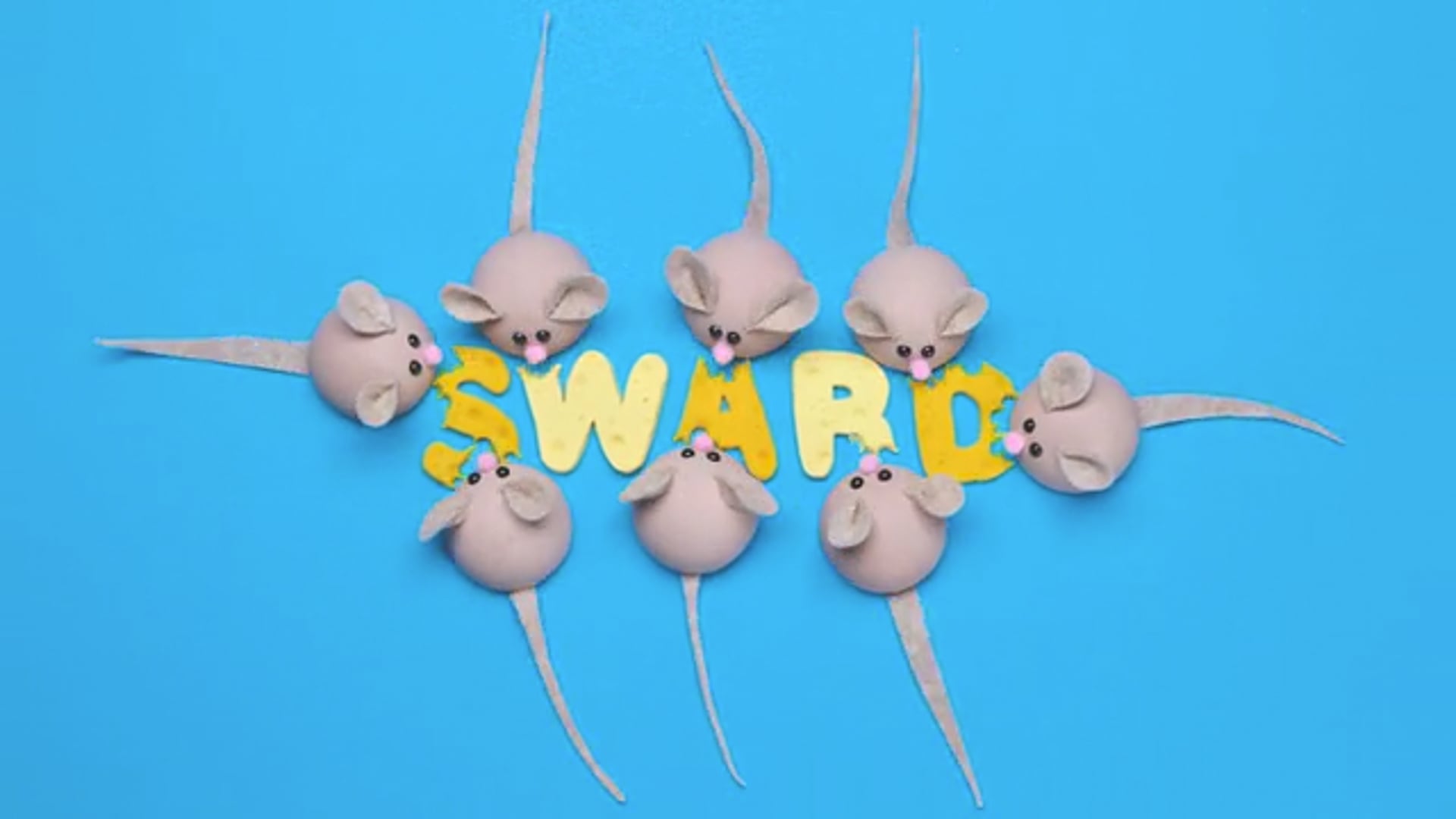SWARD Kids & Family Reel