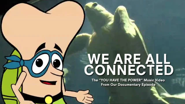 We Are All Connected