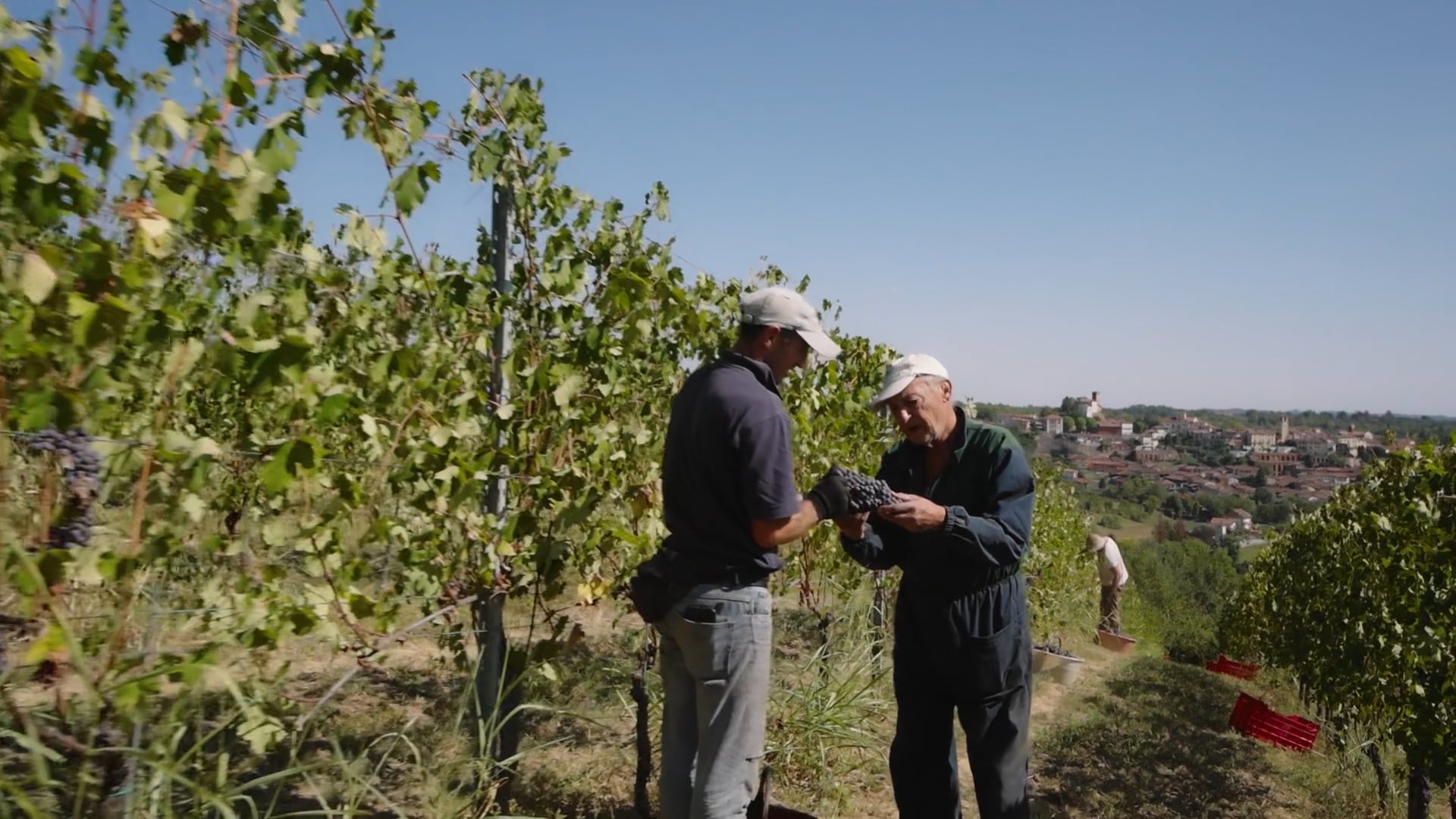 Albugnano 549, Vendemmia 2022, Tenuta Tamburnin