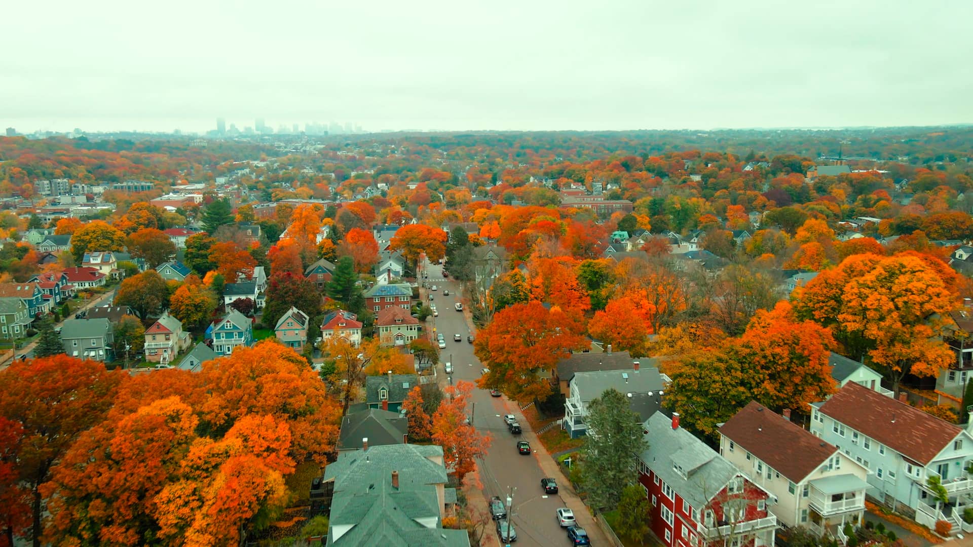 52 Kittredge St 1, Roslindale Movie (Unbranded) on Vimeo