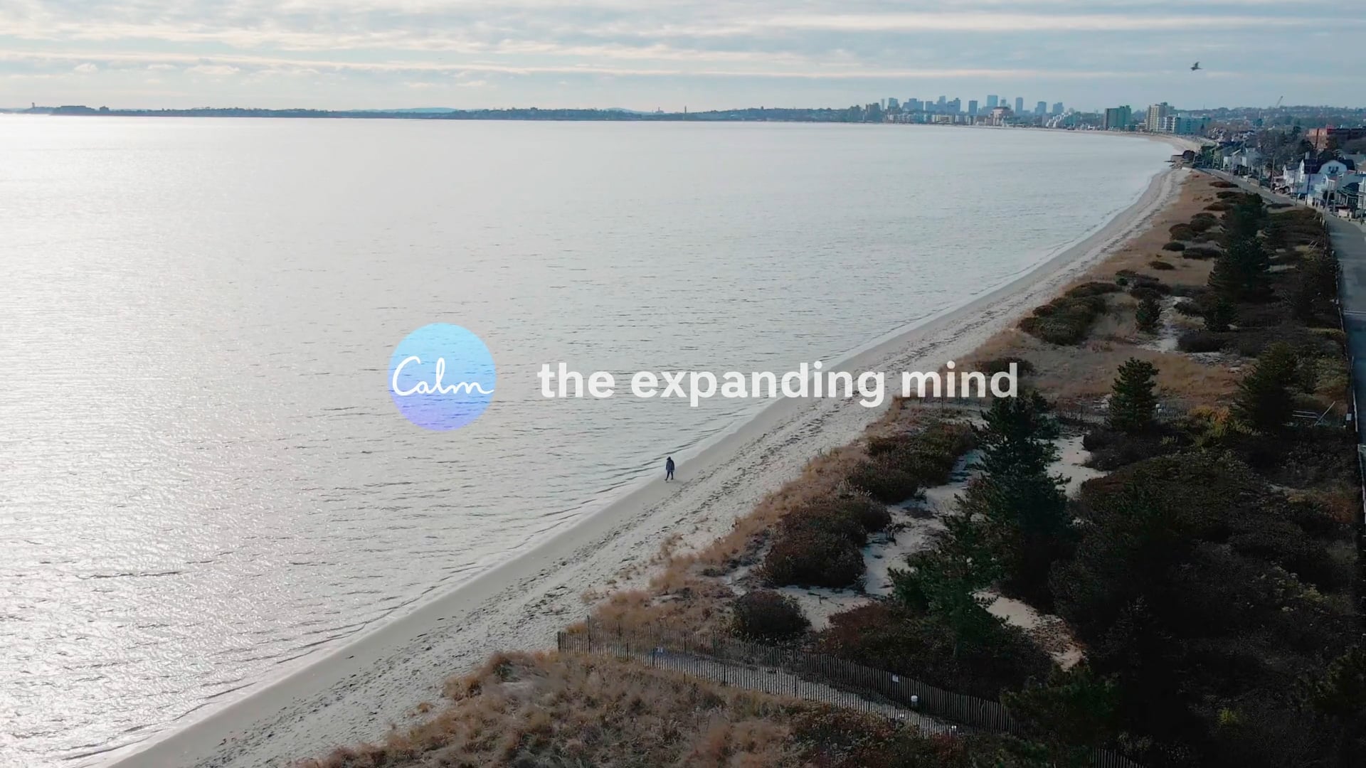 Calm App: Calm the Expanding Mind