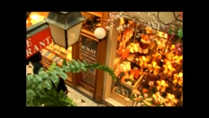 Vignette de la vidéo