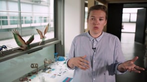 Vignette de la vidéo