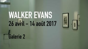 Vignette de la vidéo