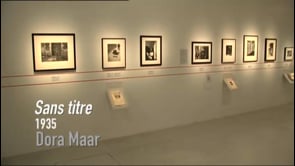 Vignette de la vidéo