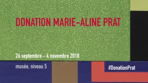 Vignette de la vidéo