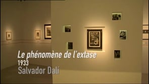 Vignette de la vidéo