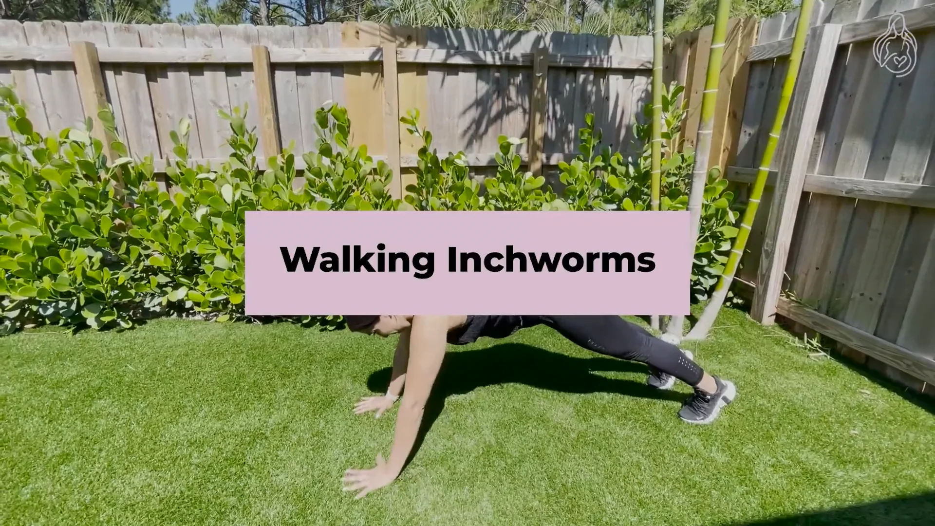 Walking Inchworms on Vimeo