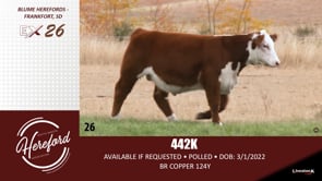Lot #26 - 442K