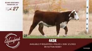 Lot #27 - 443K