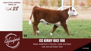 Lot #28 - CC KIRBY 803 18K