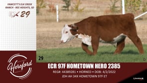 Lot #29 - ECR 97F HOMETOWN HERO 2385