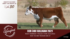Lot #30X - ECR 38C GILLIGAN 2621