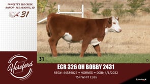 Lot #31 - ECR 326 OH BOBBY 2431