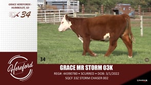 Lot #34 - GRACE MR STORM 03K