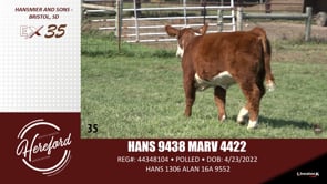 Lot #35 - HANS 9438 MARV 4422