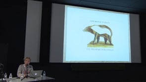 Vignette de la vidéo