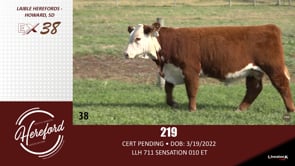 Lot #38 - 219