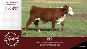 Lot #40 - 229